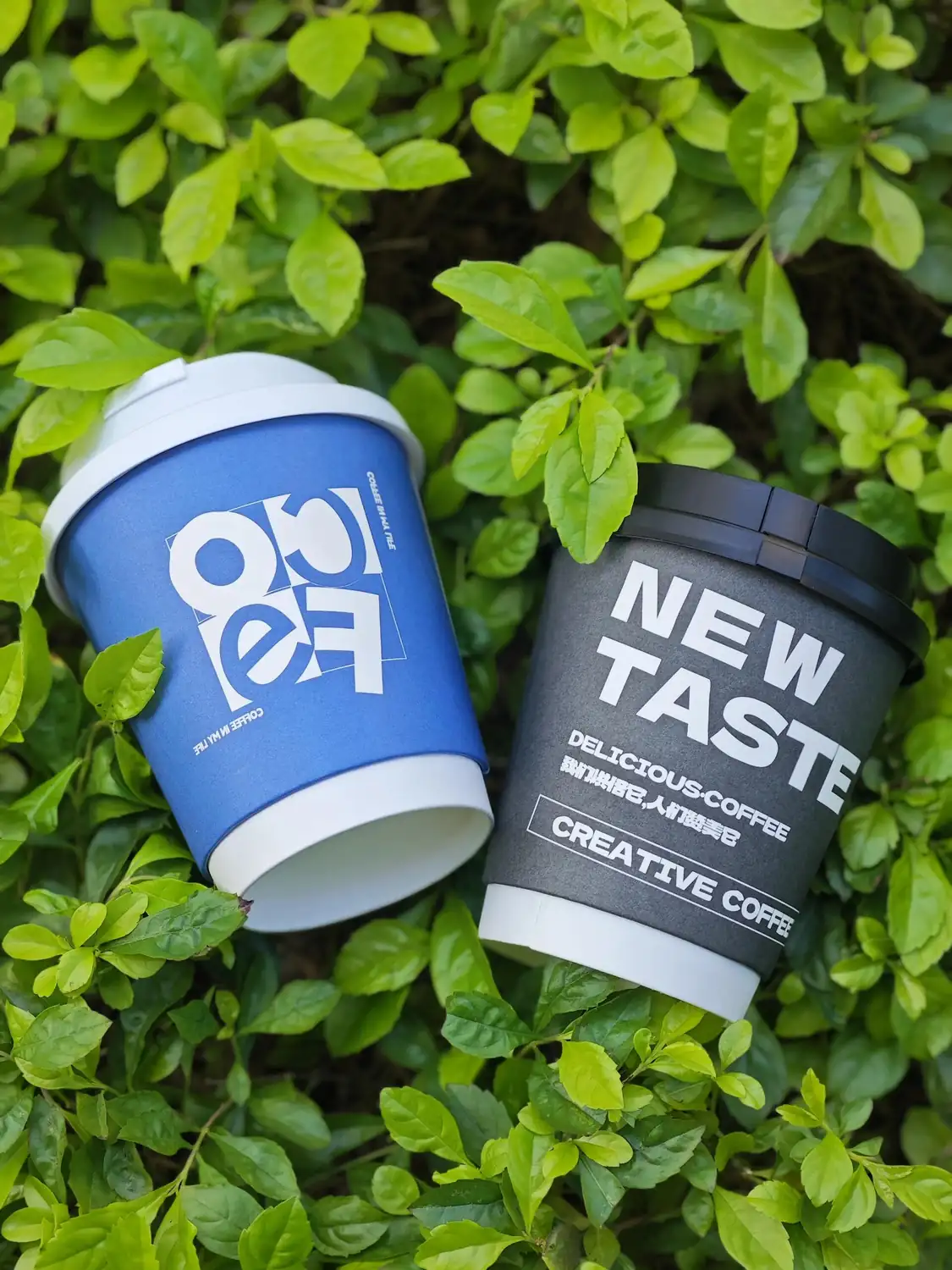 Double Wall vs Single Wall Paper Cups | Specs and Cost Double Wall vs Single Wall Paper Cups | Specs and Cost