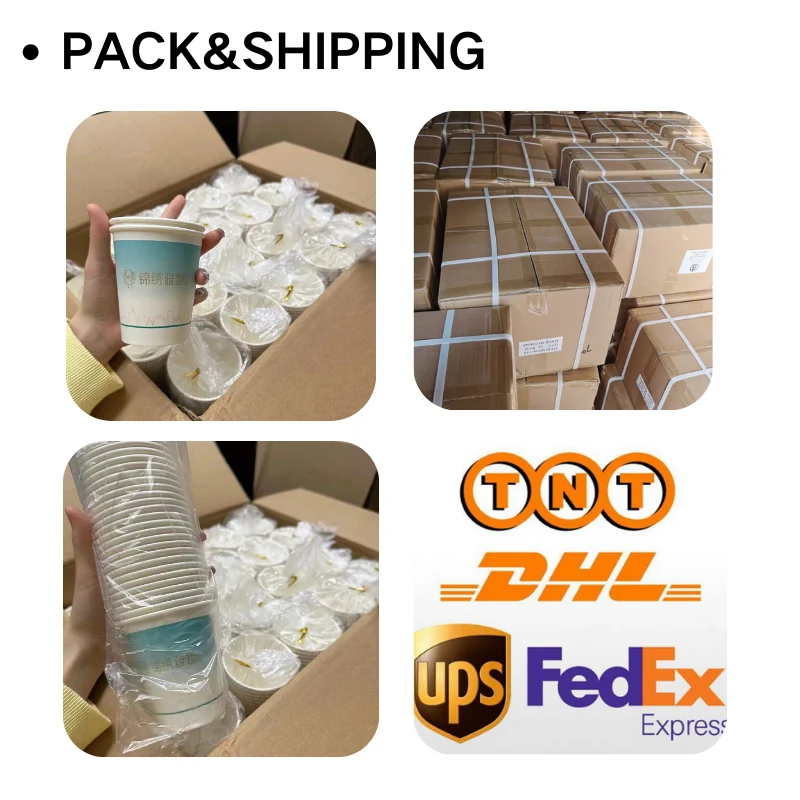 Paper Cup Printing | Logo, Colour and Full-Wrap Options Paper Cup Printing | Logo, Colour and Full-Wrap Options